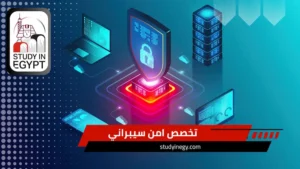 تخصص امن سيبراني