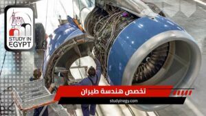 تخصص هندسة طيران