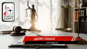 تخصصات القانون