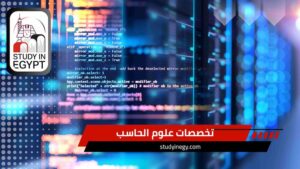 تخصصات علوم الحاسب