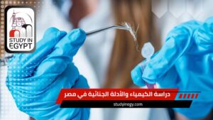 دراسة الكيمياء والأدلة الجنائية في مصر