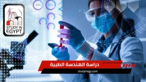 دراسة الهندسة الطبية