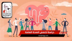 دراسة تخصص الصحة العامة