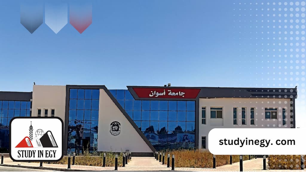 الدراسة في جامعة أسوان للوافدين