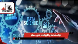 دراسة علم البيانات في مصر