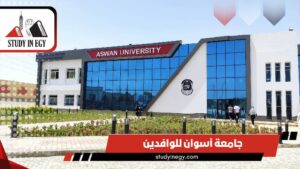 الدراسة في جامعة أسوان للوافدين