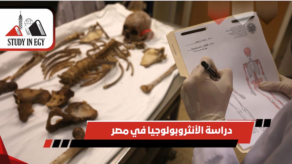 دراسة الأنثروبولوجيا في مصر