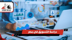 دراسة التسويق في مصر