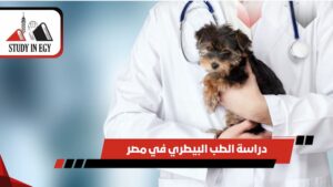 دراسة الطب البيطري في مصر