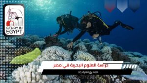 دراسة العلوم البحرية في مصر