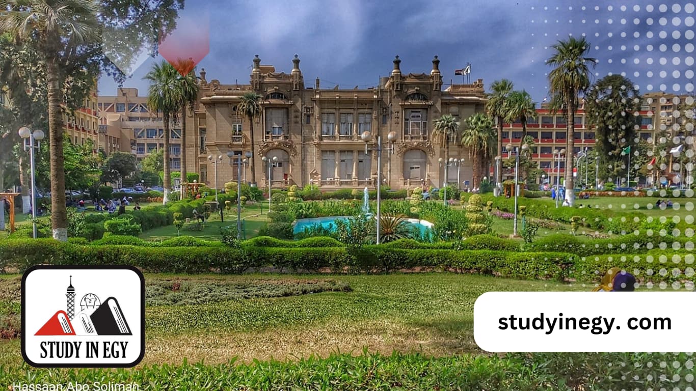 أفضل الجامعات لدراسة القانون في مصر