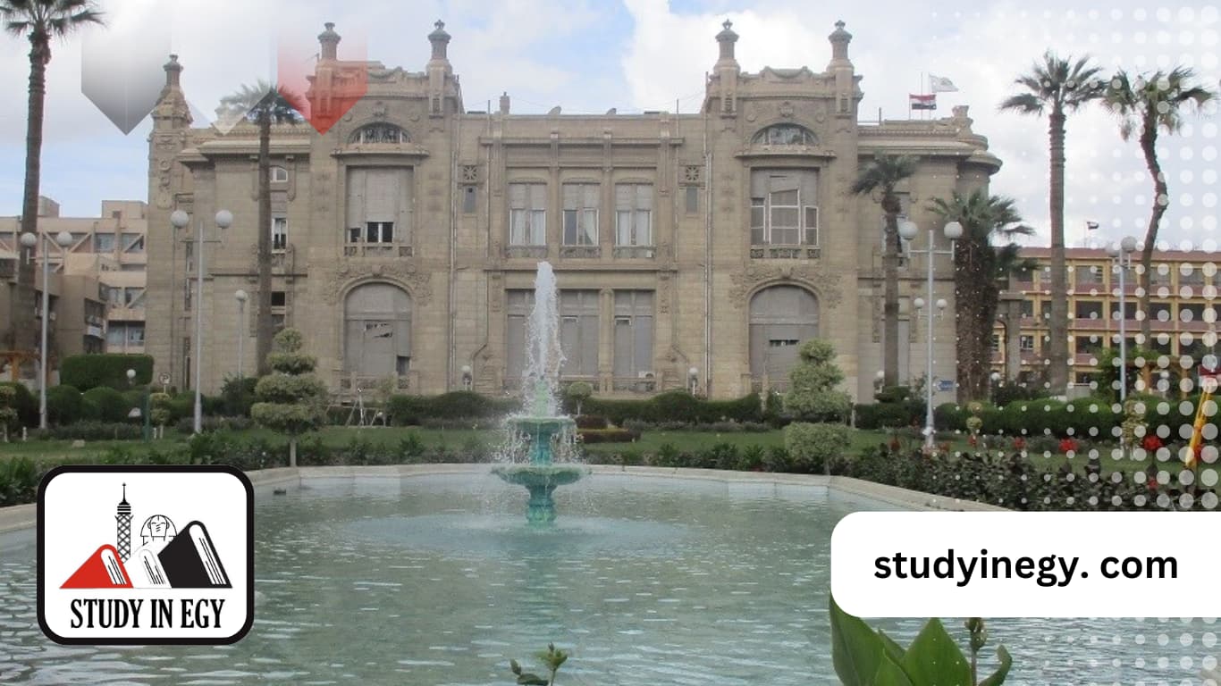 تخصصات الماجستير في جامعة عين شمس