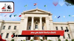 إكمال دراسة الكبار في مصر