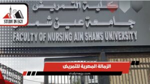 الزمالة المصرية للتمريض للوافدين [current_year]