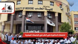 تخصصات الدكتوراه في الطب في الجامعات المصرية