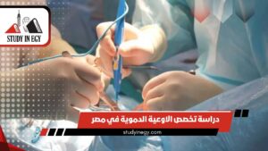 دراسة تخصص الاوعية الدموية في مصر