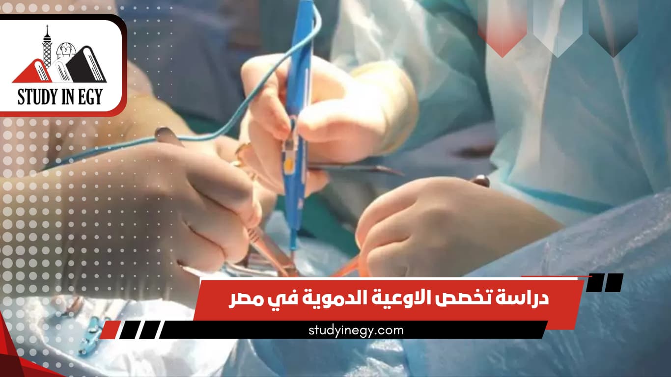 دراسة تخصص الاوعية الدموية في مصر