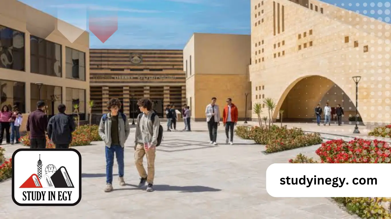 الجامعات الأهلية في مصر