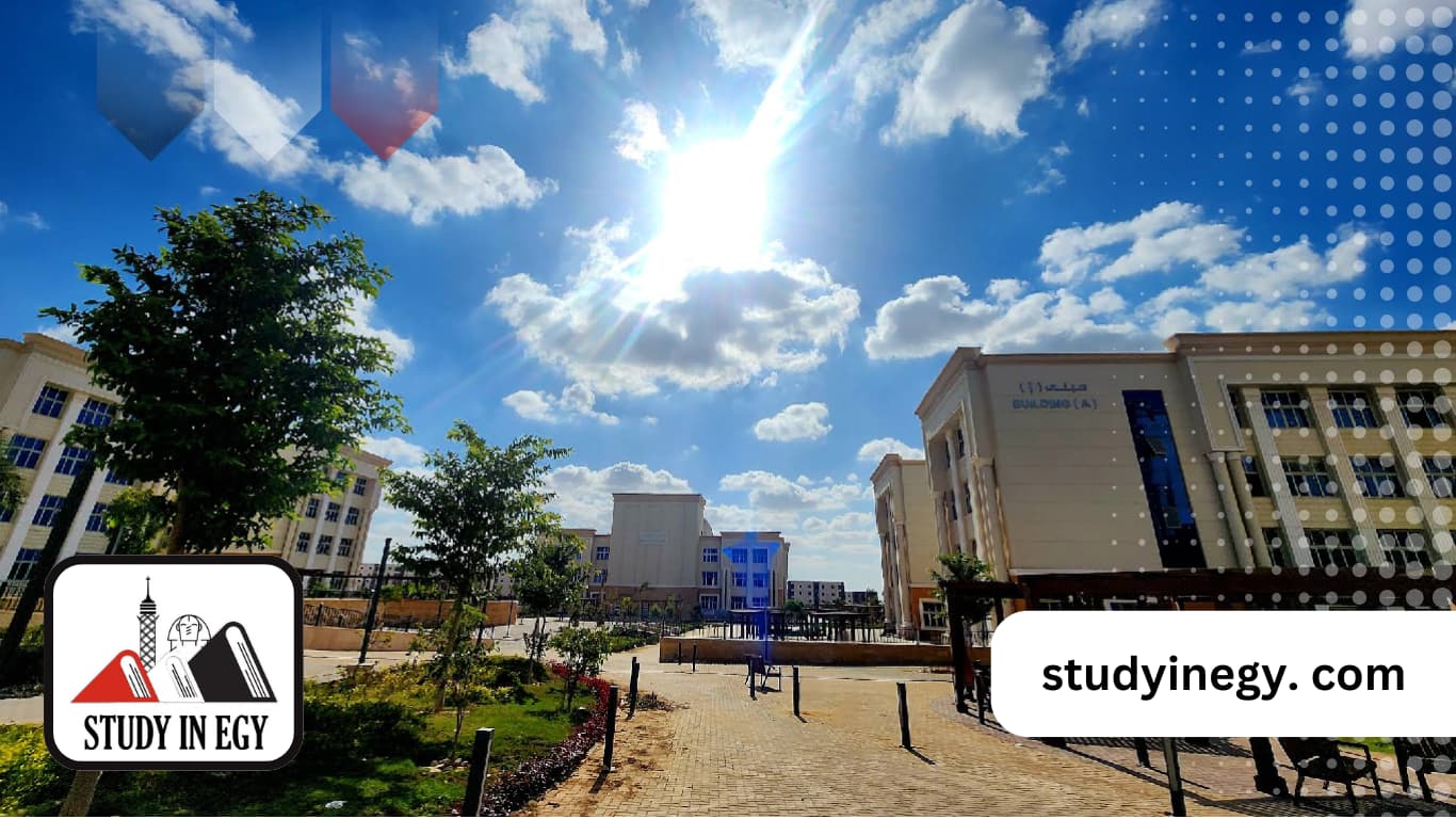 جامعة الزقازيق الأهلية