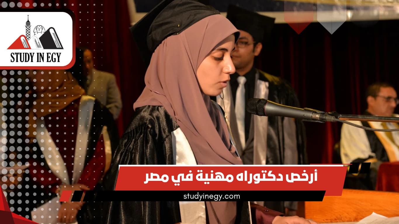 أرخص دكتوراه مهنية في مصر