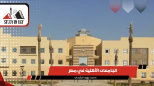 الجامعات الأهلية في مصر