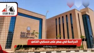 الدراسة في مصر على حسابي الخاص