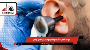 دراسة طب الأنف والأذن والحنجرة في مصر