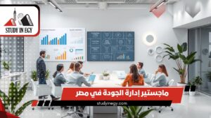 ماجستير إدارة الجودة في مصر