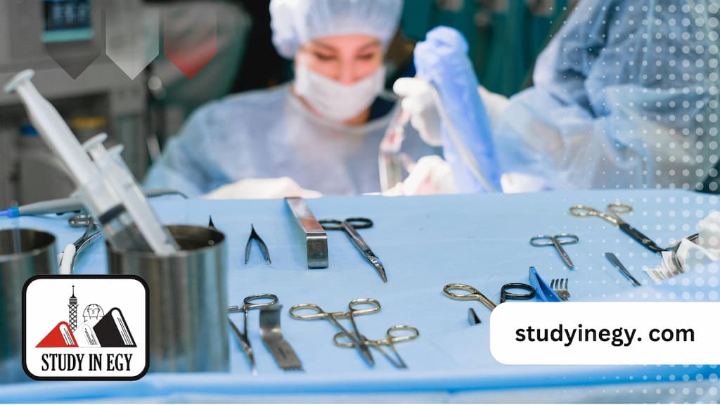 تخصصات البورد العربي جامعة المنصورة