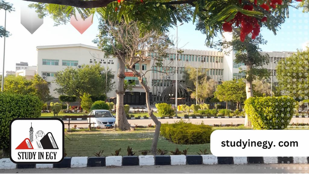 ماجستير إدارة الأعمال بجامعة المنصورة