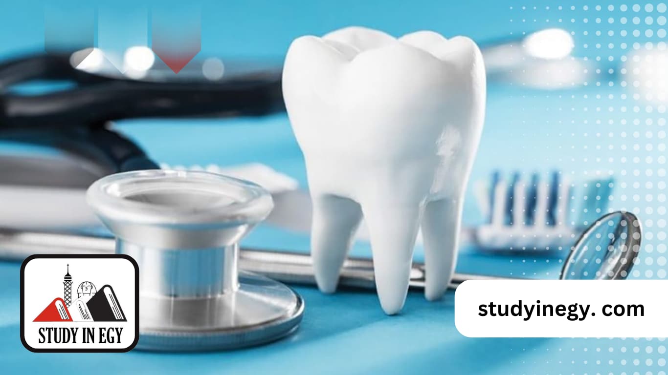عدد سنوات ماجستير طب الأسنان في مصر