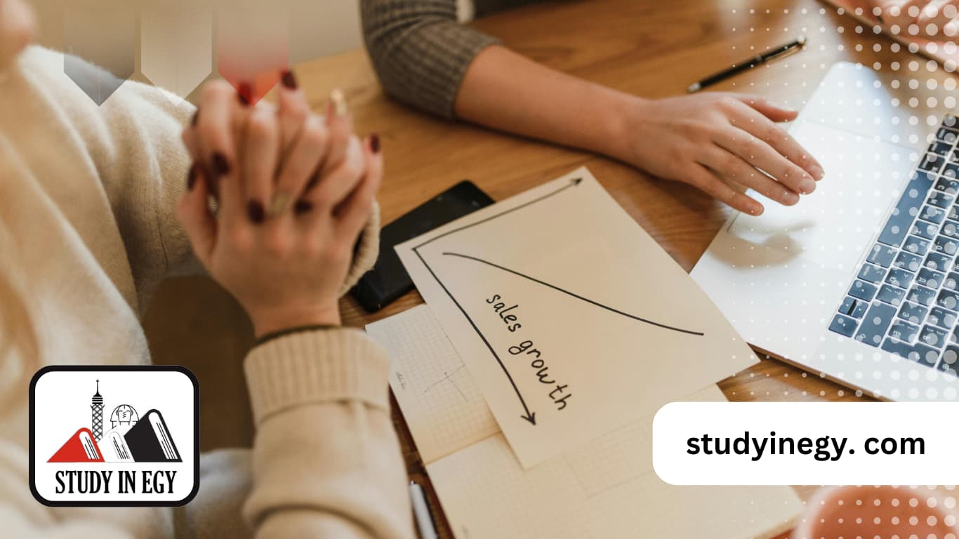 ماجستير ادارة اعمال جامعة عين شمس