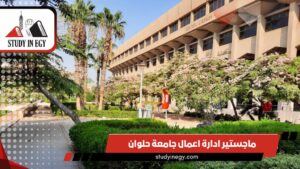 ماجستير ادارة اعمال جامعة حلوان
