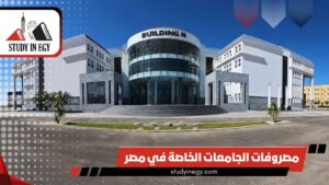 مصروفات الجامعات الخاصة في مصر