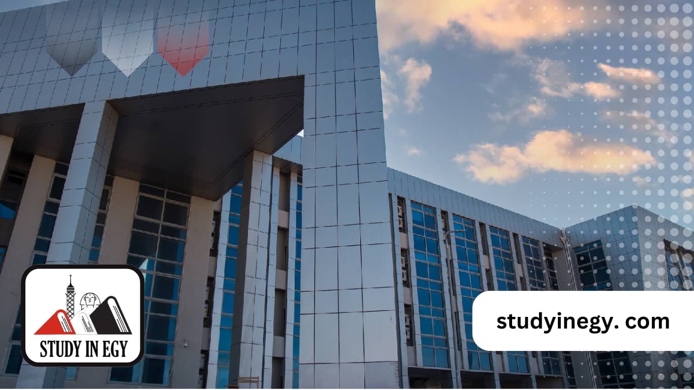 الدراسة في جامعة دمياط للوافدين