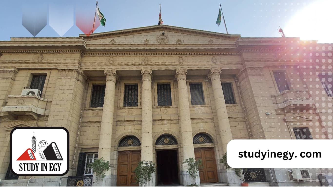 تخصصات الدكتوراه في القانون