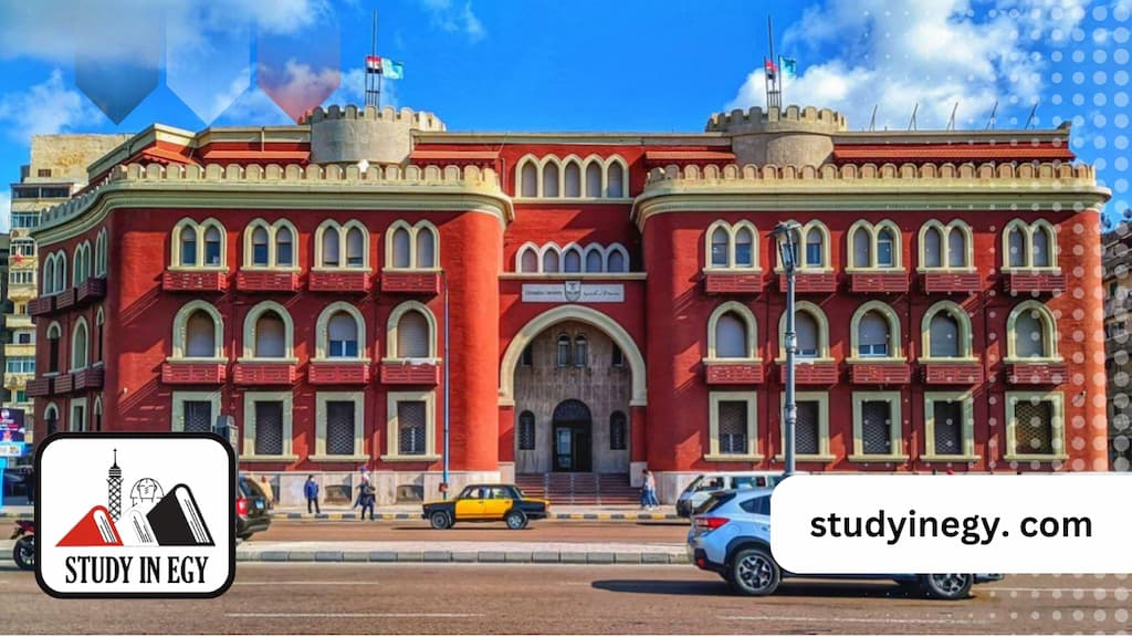 جامعة الإسكندرية