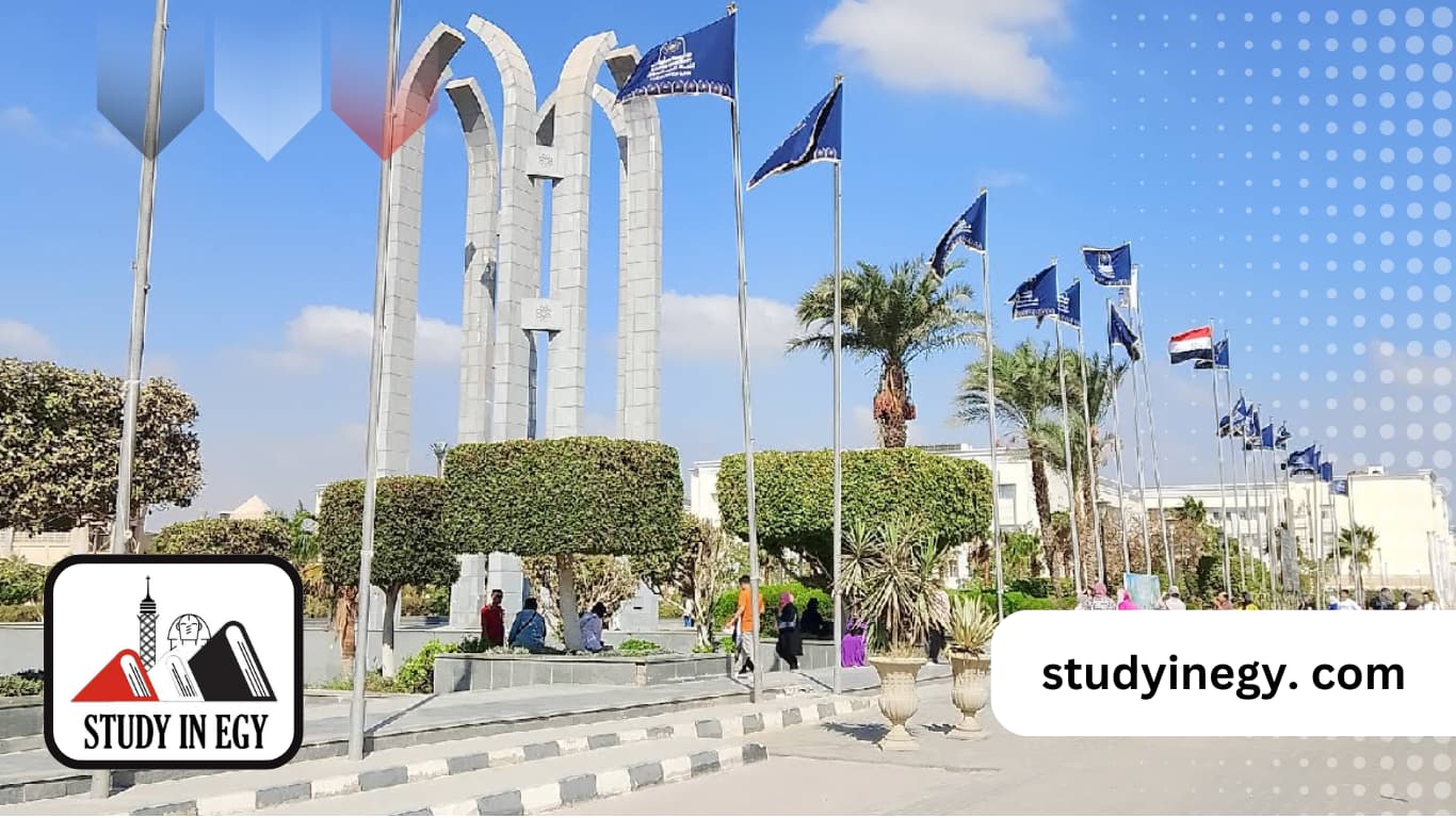 الدكتوراة المهنية بجامعة حلوان