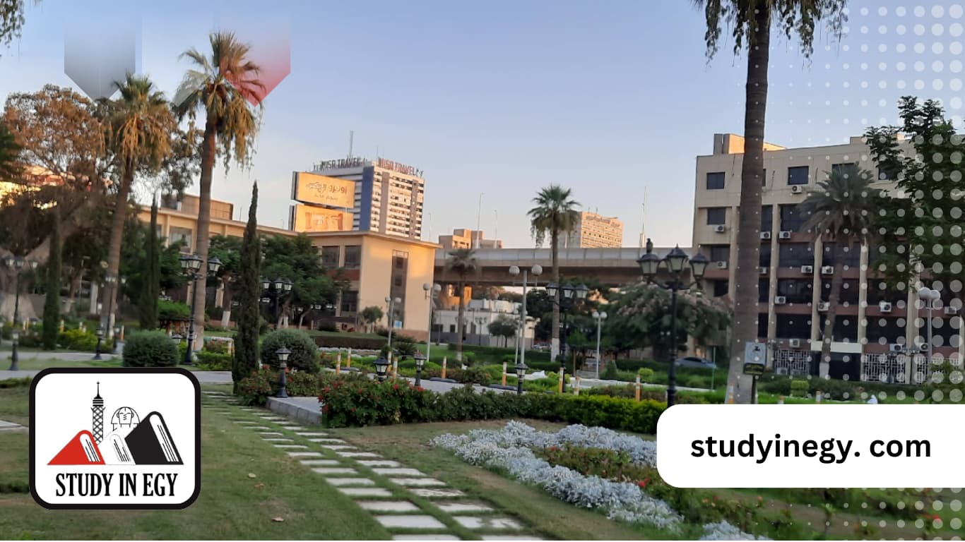 تخصصات الدكتوراه في جامعة عين شمس