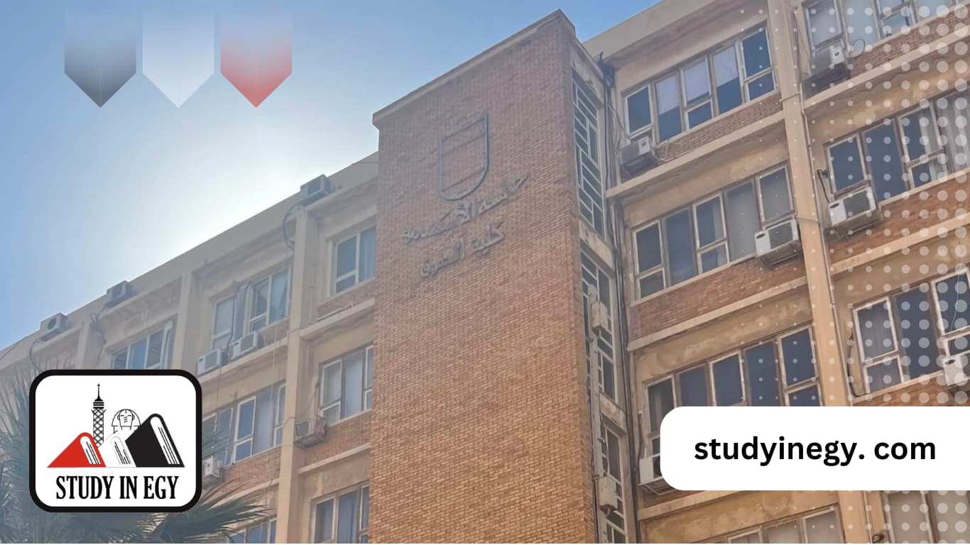 الدكتوراه في القانون جامعة الاسكندرية