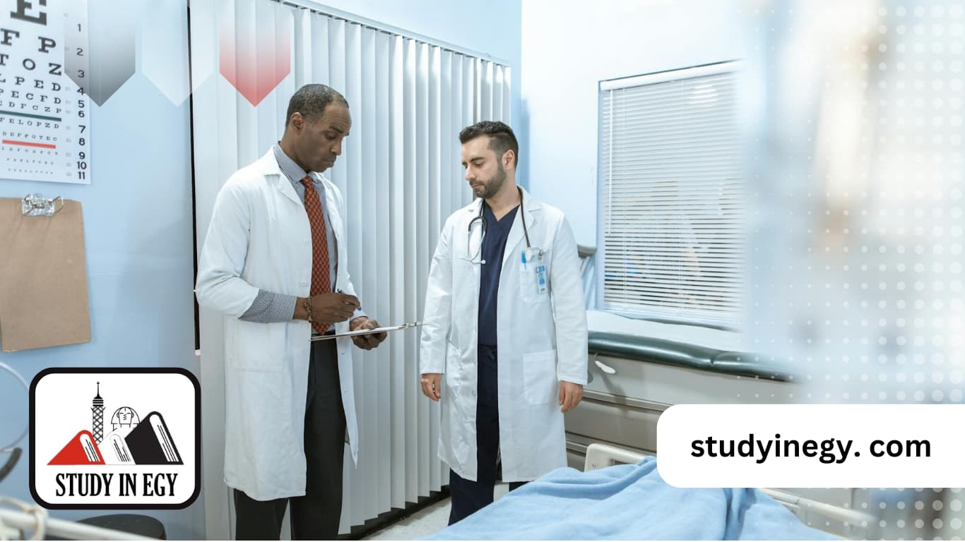 دراسة دكتوراه صحة مجتمع في مصر للوافدين