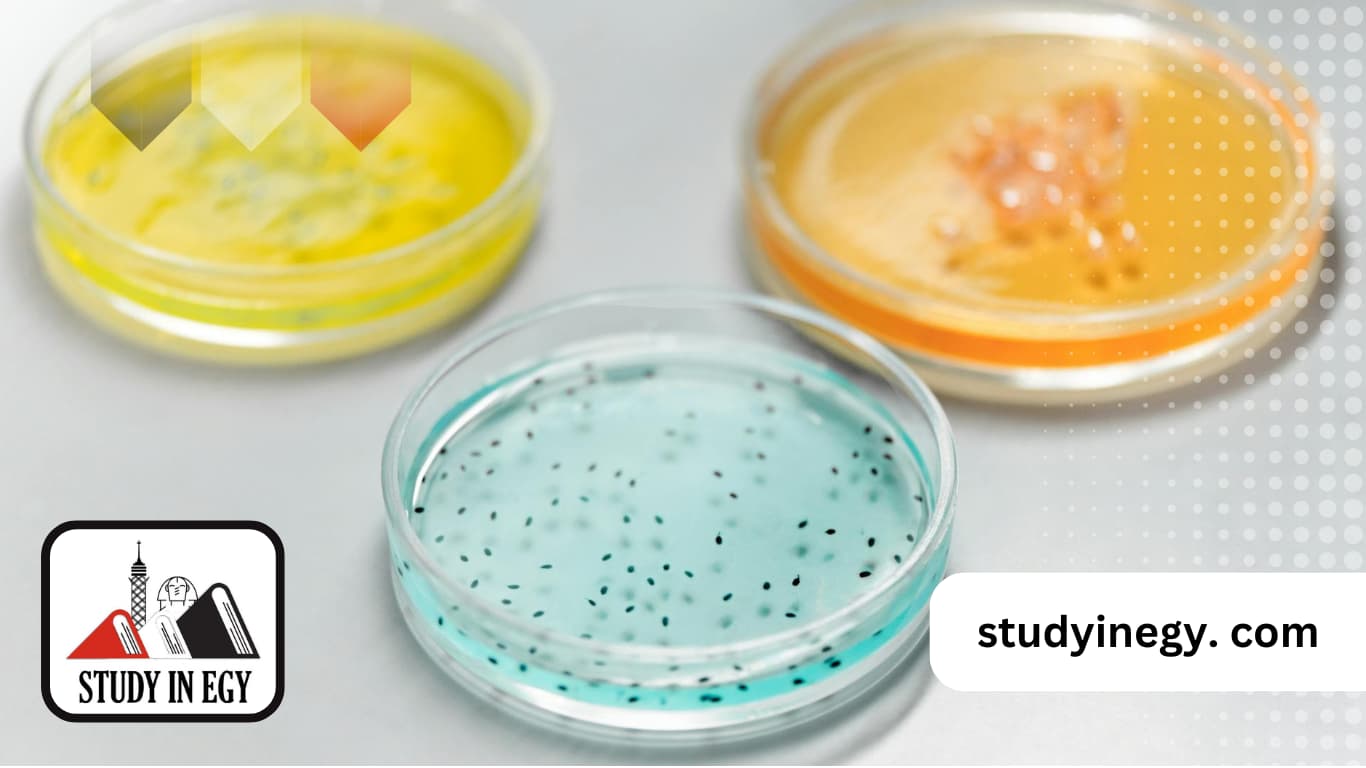 دكتوراه مختبرات طبية في مصر