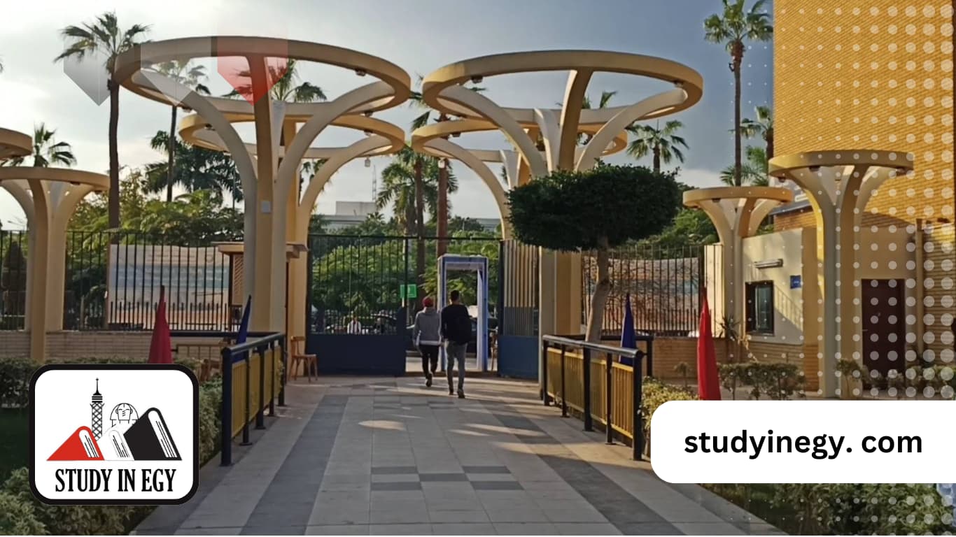 رسوم الدكتوراه في جامعة المنصورة للوافدين