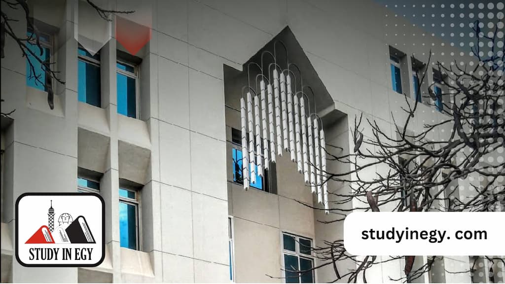 كلية الهندسة جامعة مصر للعلوم والتكنولوجيا