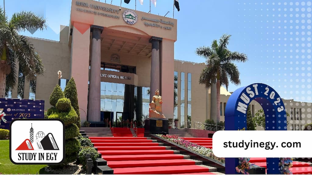 كلية تكنولوجيا المعلومات جامعة مصر للعلوم والتكنولوجيا