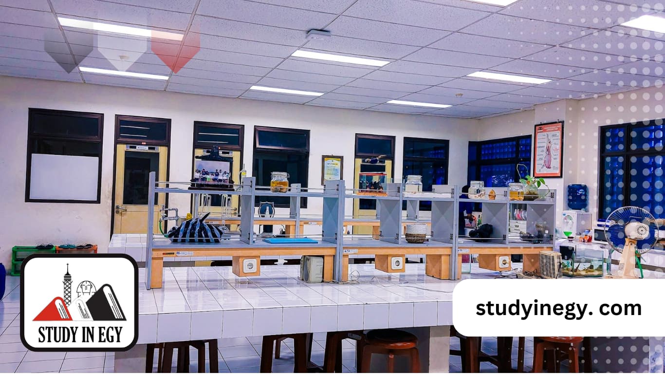 ماجستير مختبرات طبية في مصر