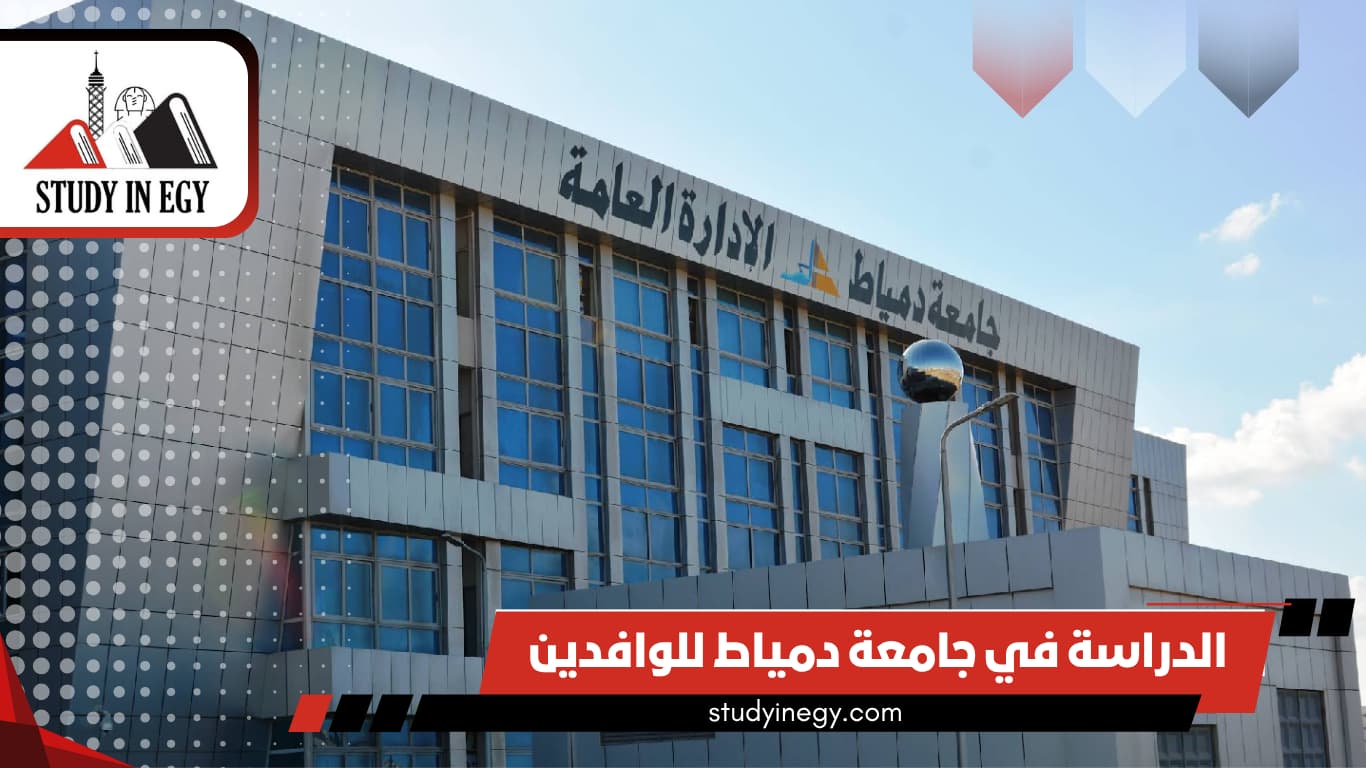 الدراسة في جامعة دمياط للوافدين