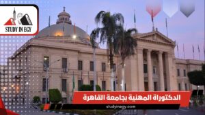 الدكتوراة المهنية بجامعة القاهرة