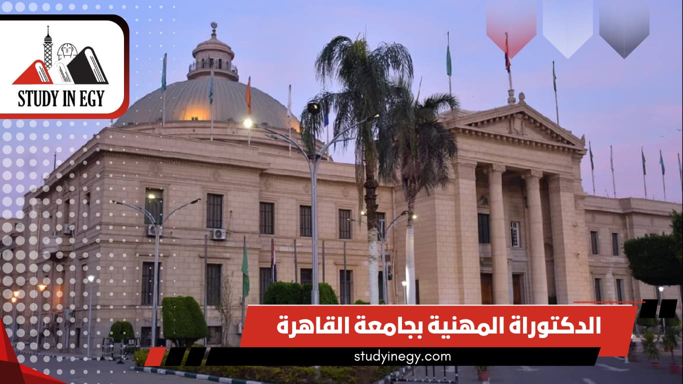 الدكتوراة المهنية بجامعة القاهرة الدكتوراة المهنية بجامعة القاهرة