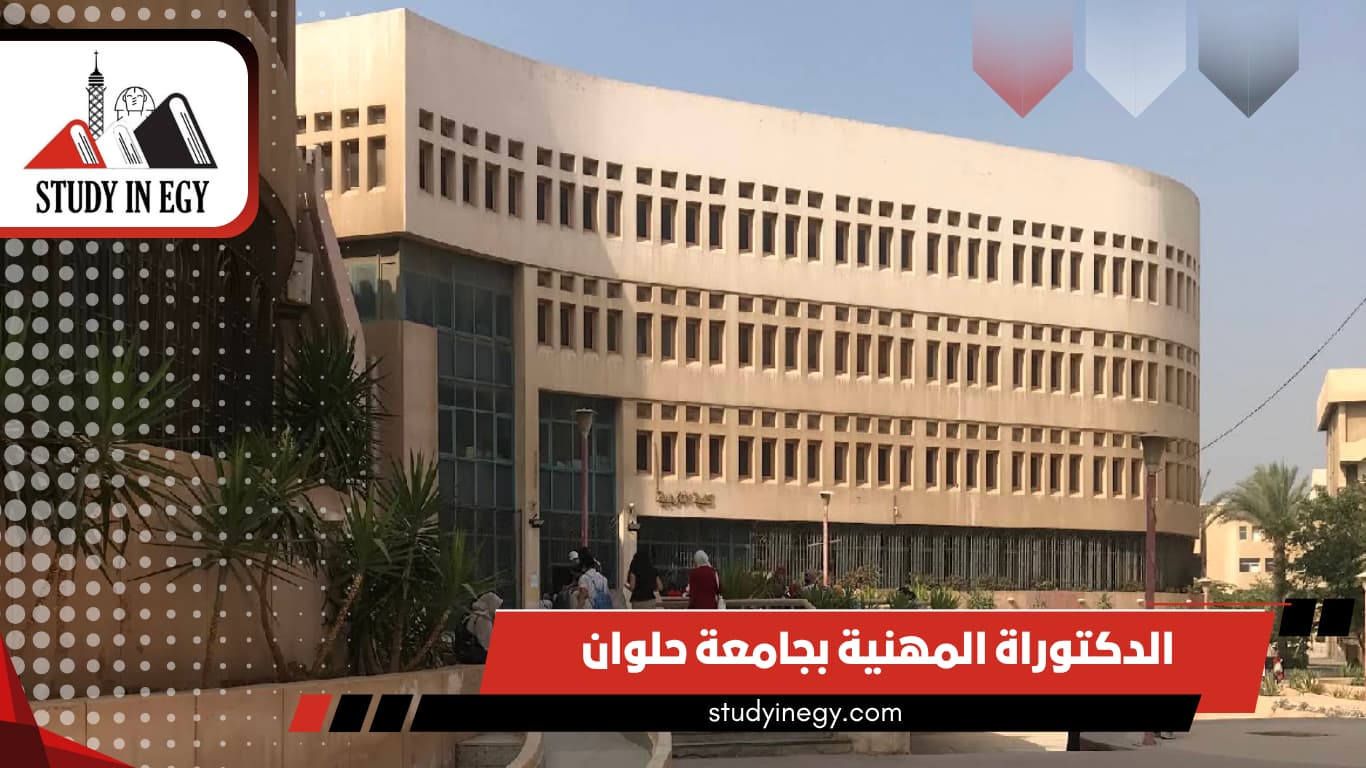 الدكتوراة المهنية بجامعة حلوان الدكتوراة المهنية بجامعة حلوان